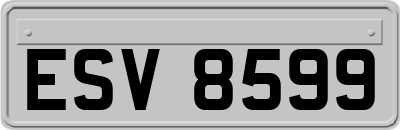 ESV8599