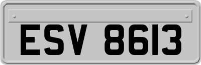 ESV8613