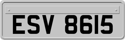 ESV8615