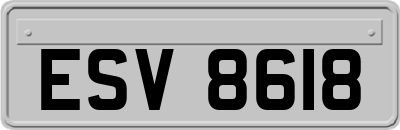 ESV8618