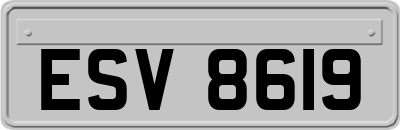 ESV8619