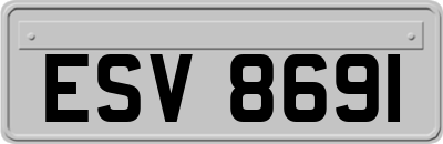 ESV8691