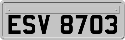ESV8703