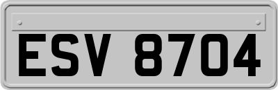 ESV8704