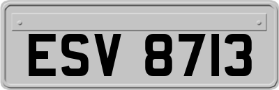 ESV8713