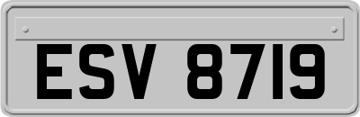 ESV8719