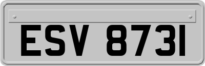 ESV8731