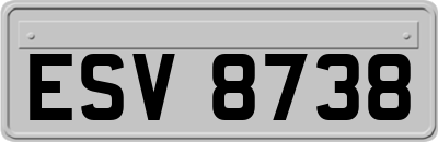 ESV8738
