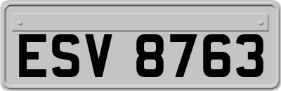 ESV8763