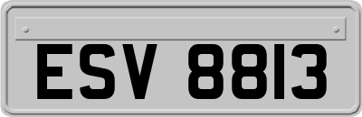 ESV8813