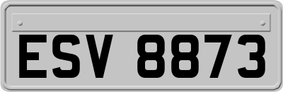 ESV8873