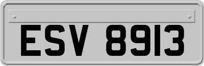 ESV8913