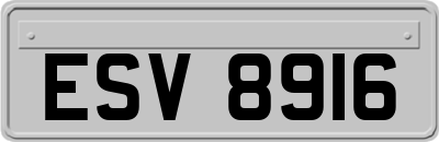ESV8916