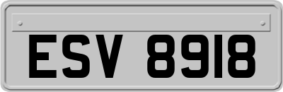 ESV8918