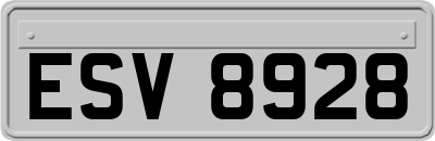 ESV8928
