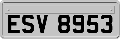 ESV8953