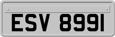 ESV8991