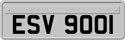 ESV9001