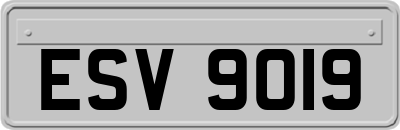 ESV9019