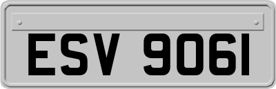 ESV9061
