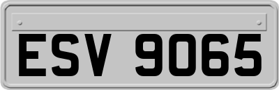 ESV9065