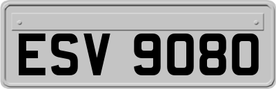 ESV9080