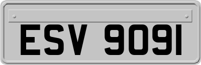 ESV9091
