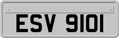 ESV9101
