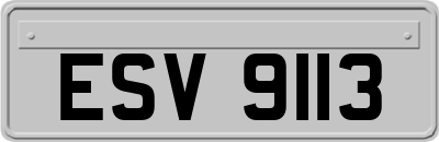 ESV9113
