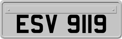 ESV9119