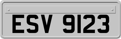 ESV9123