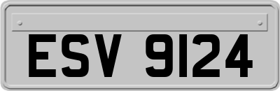 ESV9124