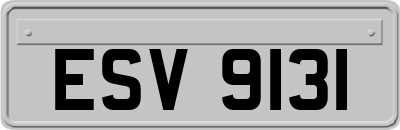 ESV9131