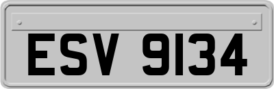ESV9134
