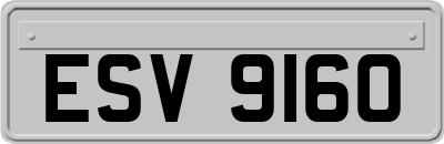 ESV9160