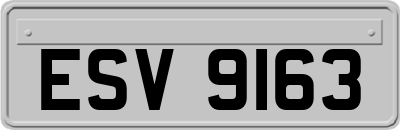 ESV9163