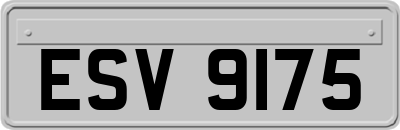 ESV9175