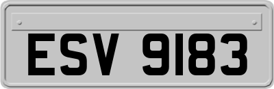 ESV9183