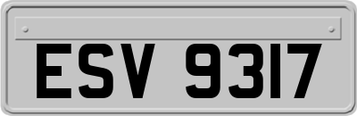 ESV9317