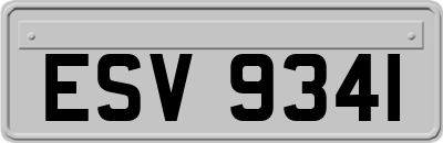 ESV9341