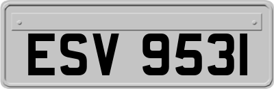 ESV9531
