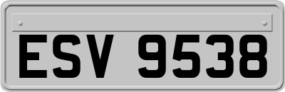 ESV9538