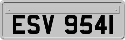ESV9541