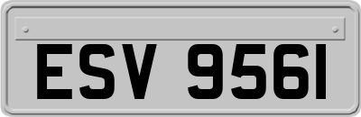 ESV9561