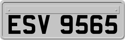 ESV9565