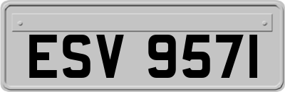 ESV9571
