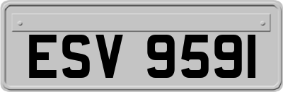 ESV9591
