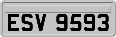 ESV9593