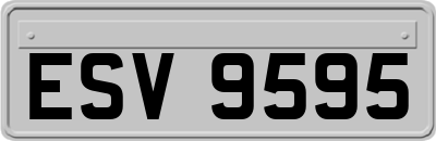 ESV9595