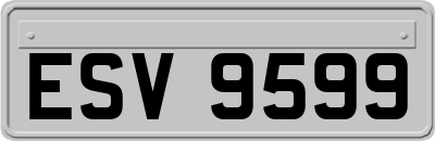 ESV9599